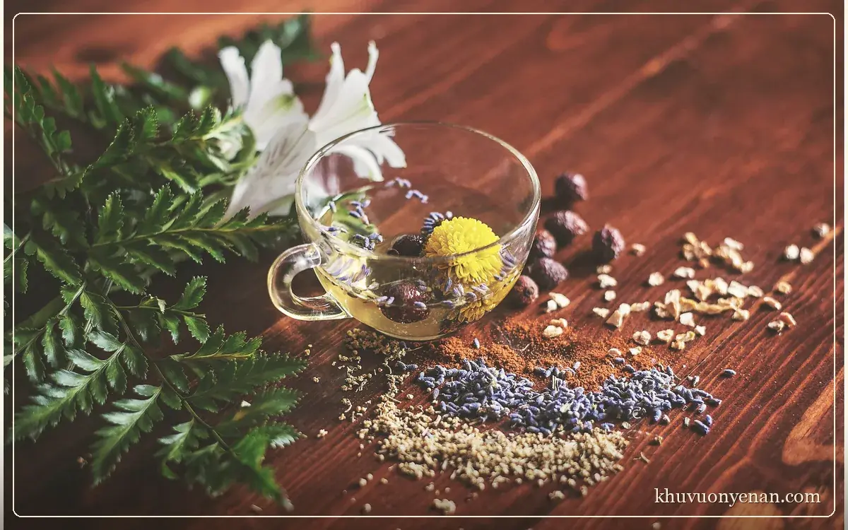 5 mùi hương giúp ngủ ngon hơn — và cách dùng cho đúng